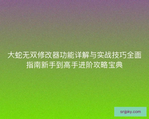 大蛇无双修改器功能详解与实战技巧全面指南新手到高手进阶攻略宝典