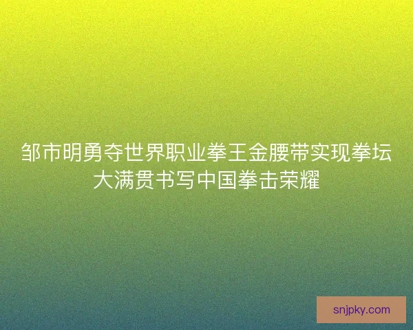 邹市明勇夺世界职业拳王金腰带实现拳坛大满贯书写中国拳击荣耀
